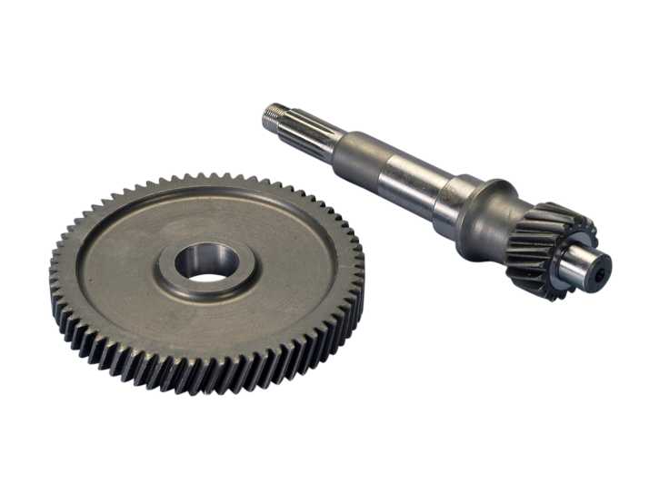 Getriebe primär Polini 18/69 für Aprilia Scarabeo 125, 150 99-04 (Rotax)