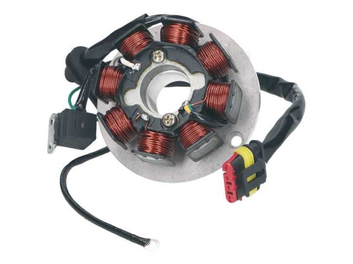 Lichtmaschine Stator OEM für Generic Trigger Explorer KSR Moto