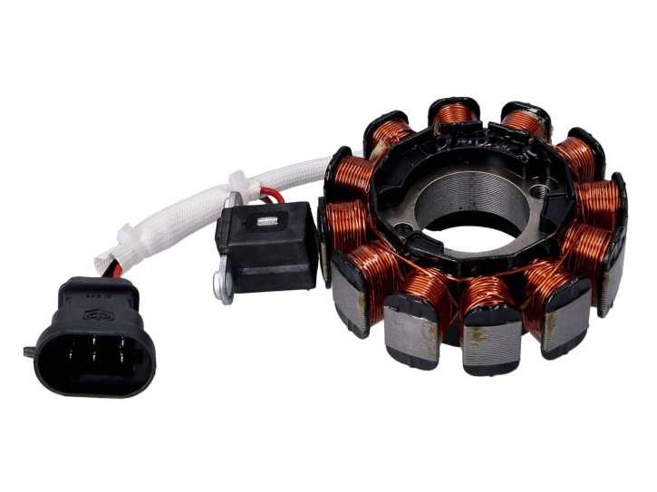 Lichtmaschine Stator 12 Spulen für Piaggio 4T 3V Euro4