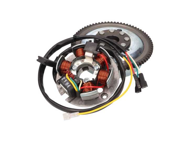 Lichtmaschine Stator und Rotor OEM für Minarelli AM E-Starter