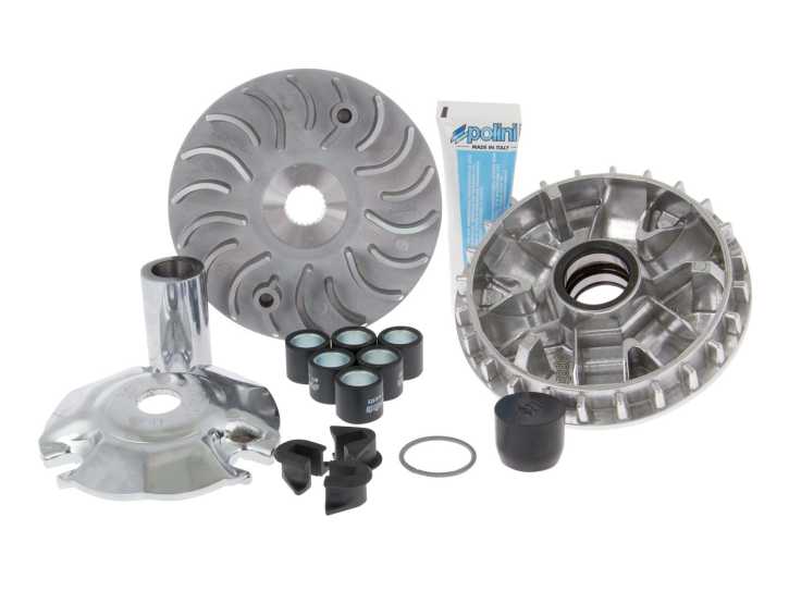 Variomatik Polini Maxi Hi-Speed für Piaggio Liberty 125ie 3V, Vespa Primavera 125ie 3V, Sprint 125ie 3V