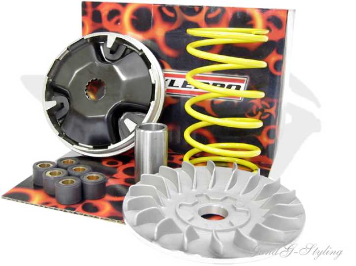 Variator StylePro Racing 16x13 + Riemenscheibe CPI