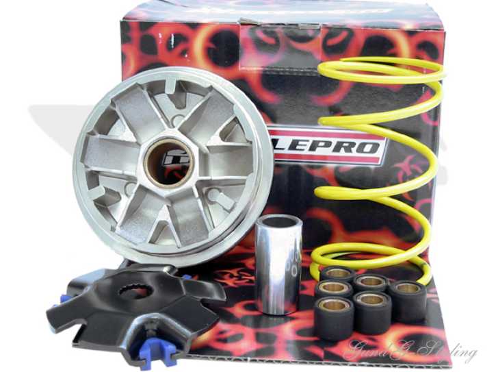 Variator Variomatik StylePro Racing 16x13 Minarelli Liegend/Steh